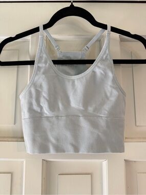Light Blue Seamless Sports Bra Crop Top - Women